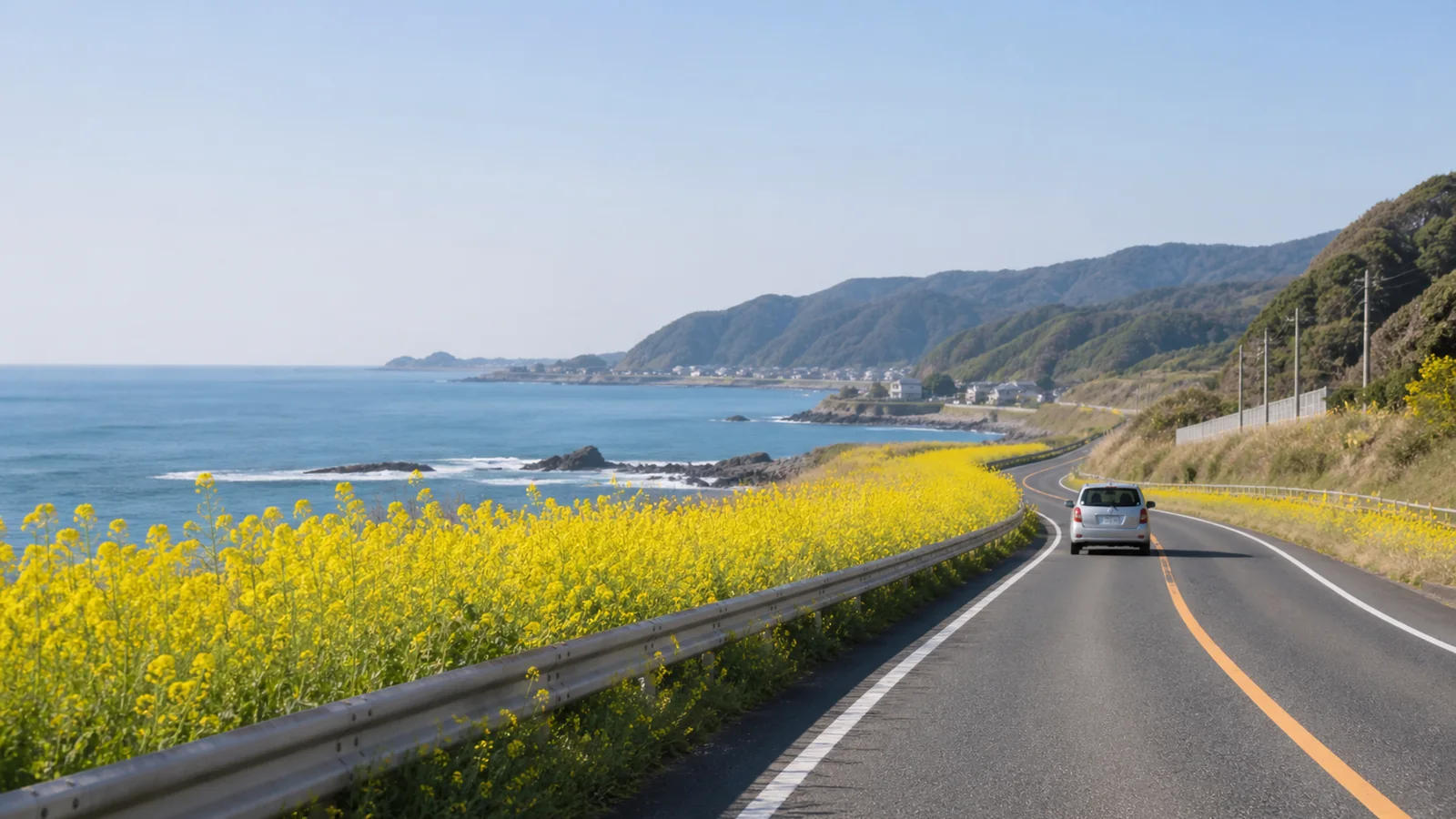 菜の花が続く海沿いの道路を走る車