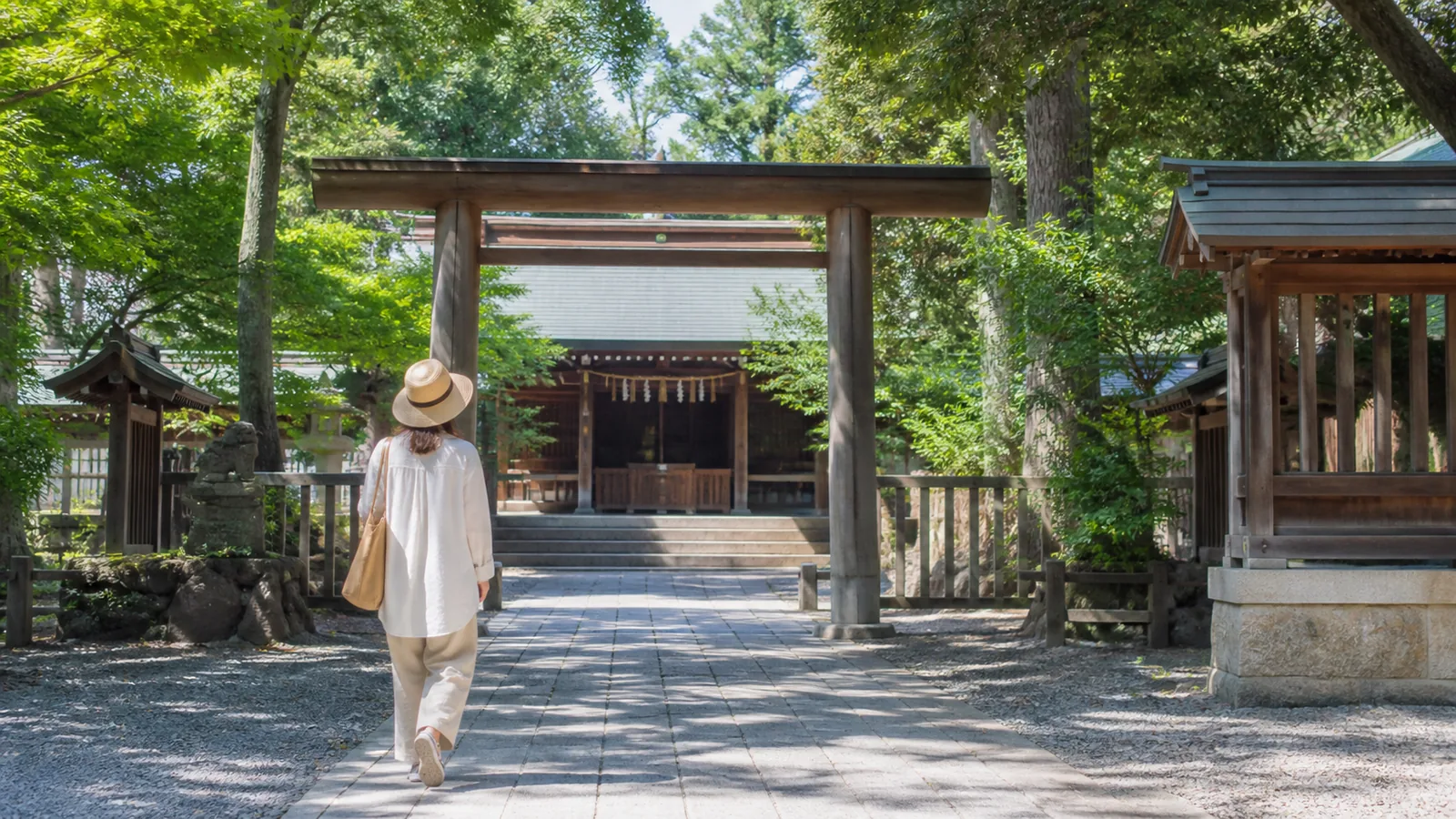 緑の木立と木造の鳥居がある四柱神社を思わせる参道の編集イメージ