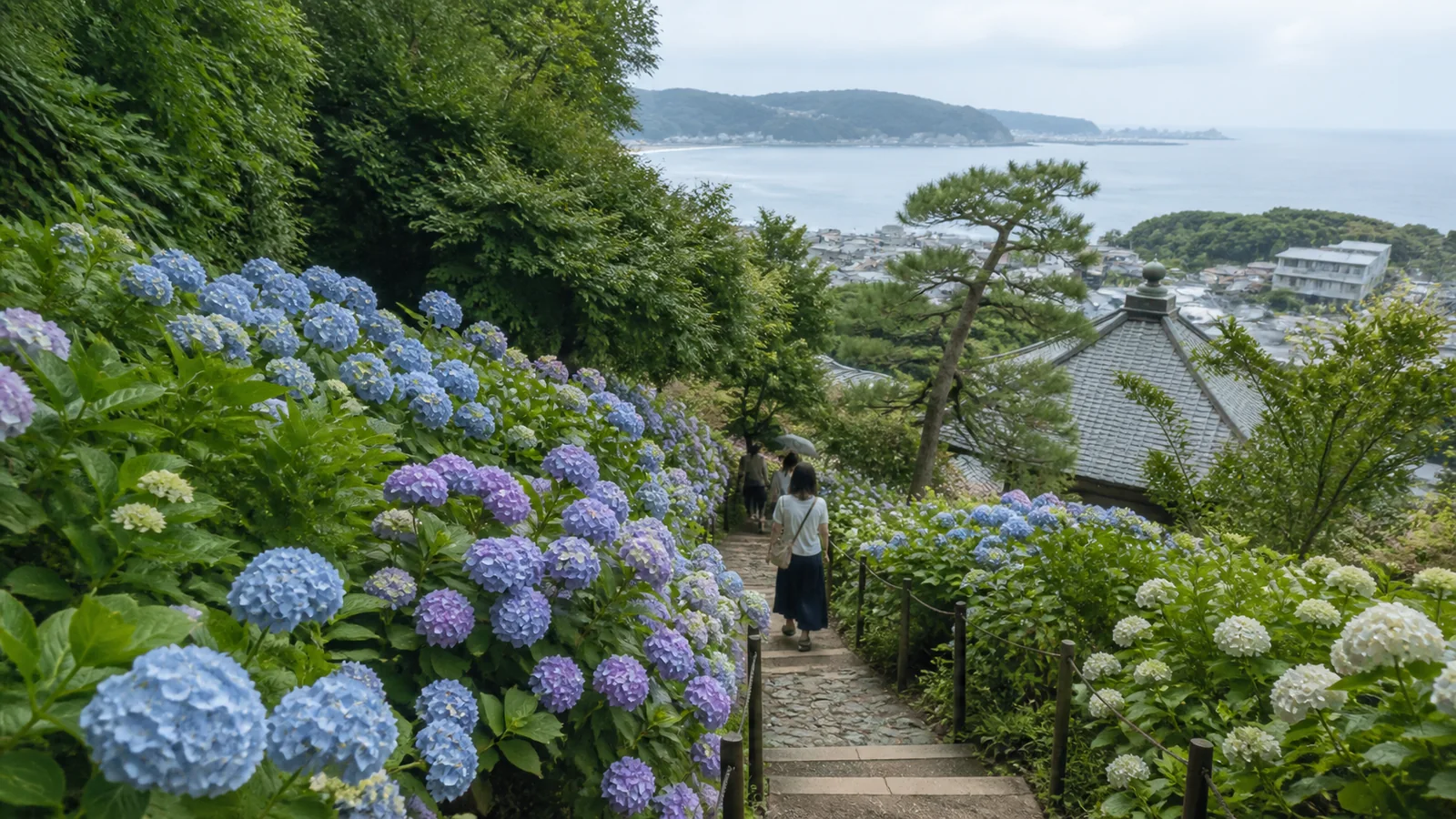 斜面のあじさい越しに海を望む長谷寺を思わせる景色